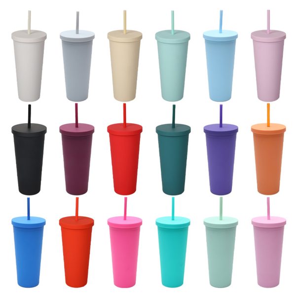 24oz Double Layer Plastic Cup W/ Straw