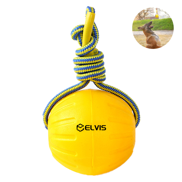 Dogs gnawing on pull tab pet toys