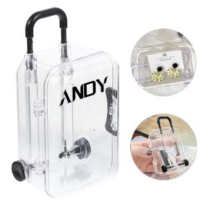 Mini Cute Transparent PP Trolley Case Jewelry Box