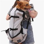 Outdoor Portable Dog Mesh Backpack