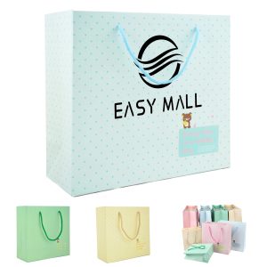 Paper Gift Bag