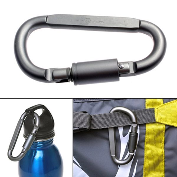 Carabiner Key Chain