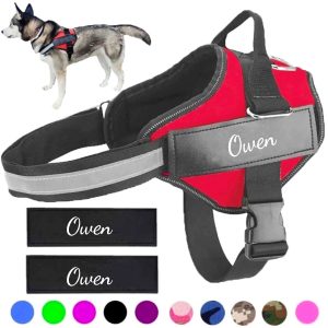 Polyester Dog Harness