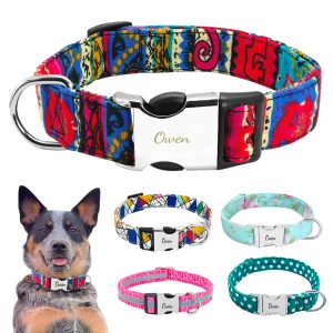 Dye Sublimated Dog Collar