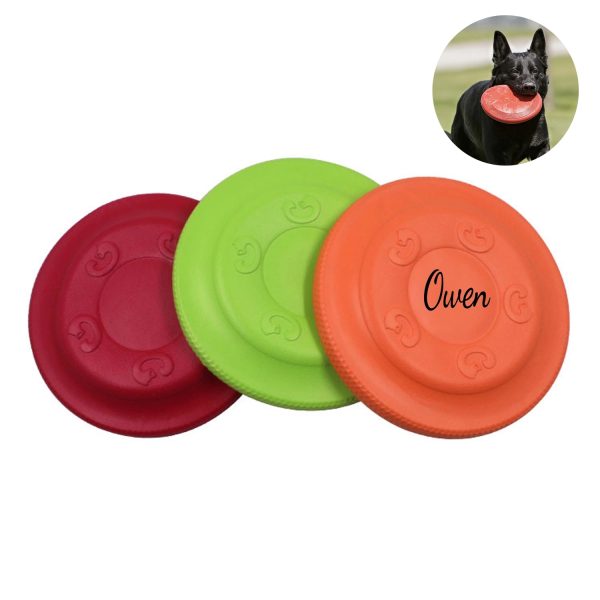 Durable Eva Frisbee