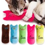 Catnip Toys For Cats & Kittens