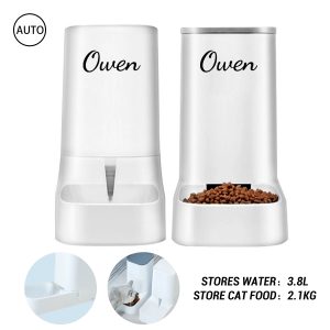 2 In 1 Automatic Pet Feeder