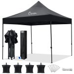 10' Outdoor Canopy Tent With 4 Sandbag