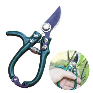 Floral Green Scissors