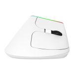 Wireless Bluetooth Dual Mode Charging Ergonomic Mouse