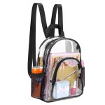 Small Clear Cute Backpack