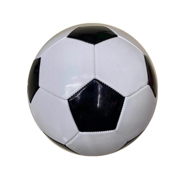 Soccer Training Ball