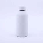 25Oz Stainless Steel Portable Thermos Bottle