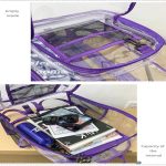 Pvc Transparent Backpack