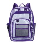 Pvc Transparent Backpack