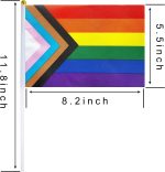 Rainbow Pride Flag Bunting Decorations Supplies For Parades