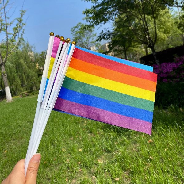 Rainbow Pride Flag Bunting Decorations Supplies For Parades