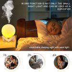 Moon Lamp Cool Mist Humidifier