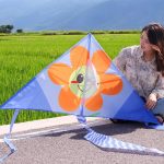 Xl Delta Jumbo Kite - 40" X 20"