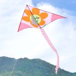 Xl Delta Jumbo Kite - 40" X 20"