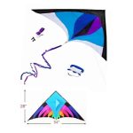 Grand Delta Dancer Kite