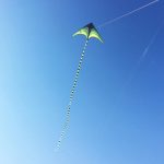 Grand Delta Dancer Kite