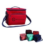 Insulated Cooler Bag