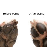 Dog Paw Cleaner