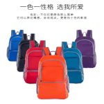 Foldable Backpack For School