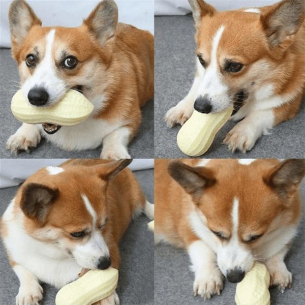 Teeth Grinding And Bite Resistant Toy Ball