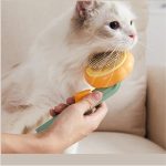 Pumpkin Type Pet Hair Brush Remover