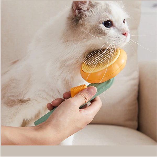 Pumpkin Type Pet Hair Brush Remover