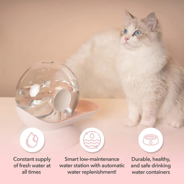 Pet Automatic Water Feeding Large Capacity Dispenser