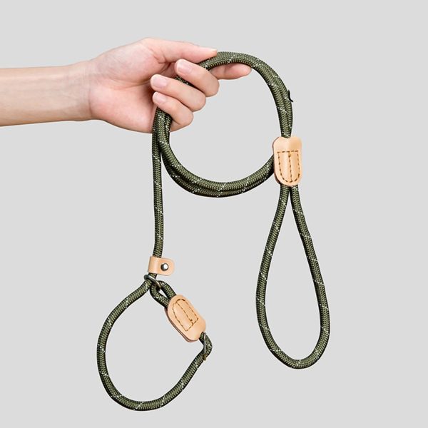 New Automatic Telescopic Dog Walking Rope With 3-Meter Long