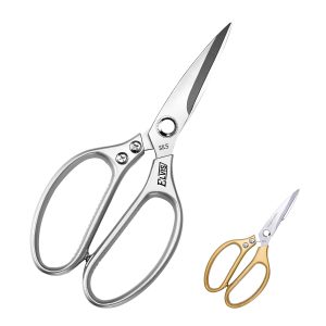 Stainless Steel Scissors