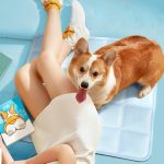 pvc pet ice pad cooling cat litter