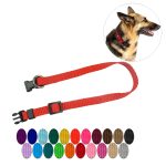 3/4'' Nylon Dog Collar w/ Buckle and Clip