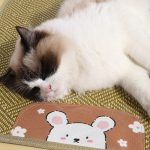 Summer pet anti slip woven rattan mat