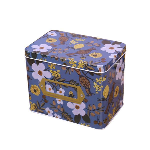 Iron storage box