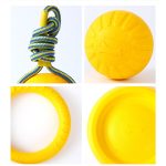 Dogs gnawing on pull tab pet toys