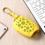 Wireless Bluetooth Mango Portable Speaker