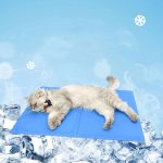 Pet Gel Ice Pad