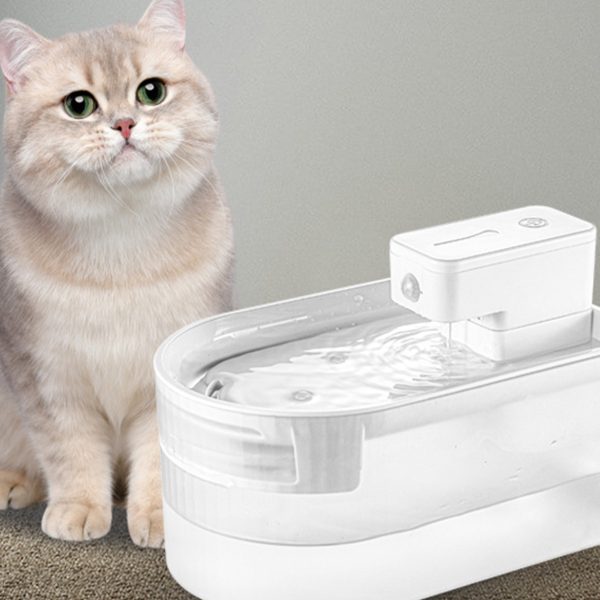 Cat Water Dispenser