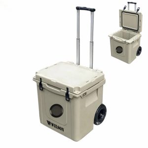 Bluetooth Speaker Trolley Box Cooler