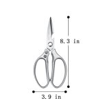 Stainless Steel Scissors