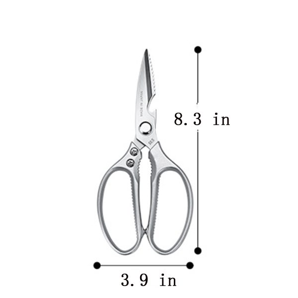 Stainless Steel Scissors