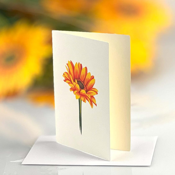 Freshcut Paper Pop Up Cards Envelope - Sunflowers