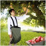 Oxford Garden Fruit Picking Bags