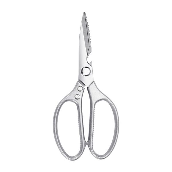 Stainless Steel Scissors