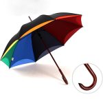 Rainbow Umbrella